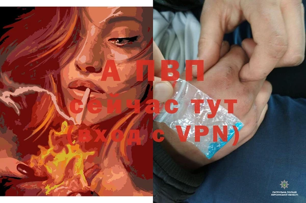 apvp Балахна